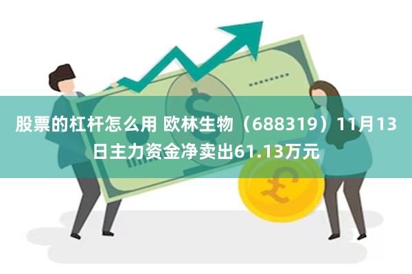 股票的杠杆怎么用 欧林生物（688319）11月13日主力资金净卖出61.13万元