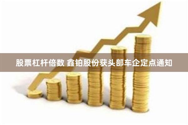 股票杠杆倍数 鑫铂股份获头部车企定点通知