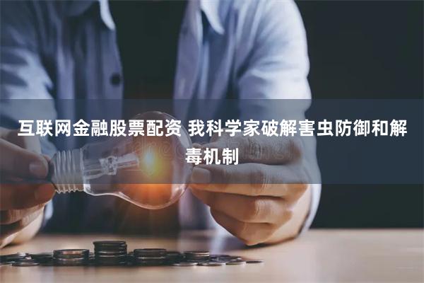 互联网金融股票配资 我科学家破解害虫防御和解毒机制
