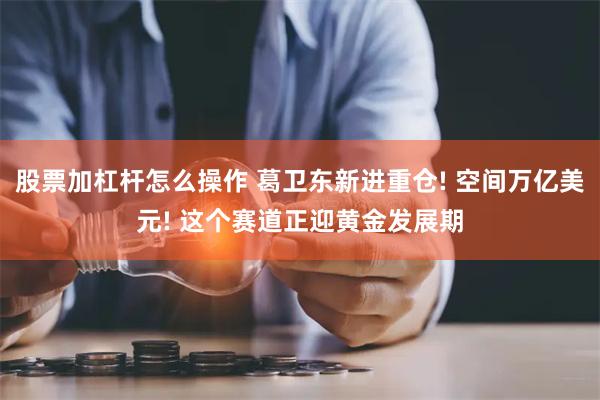 股票加杠杆怎么操作 葛卫东新进重仓! 空间万亿美元! 这个赛道正迎黄金发展期