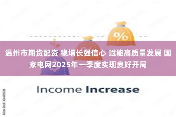 温州市期货配资 稳增长强信心 赋能高质量发展 国家电网2025年一季度实现良好开局