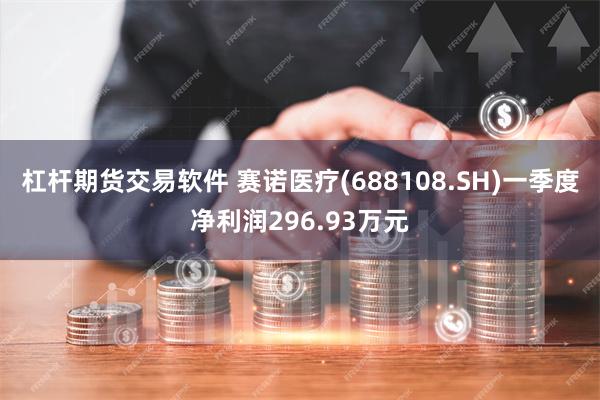 杠杆期货交易软件 赛诺医疗(688108.SH)一季度净利润296.93万元