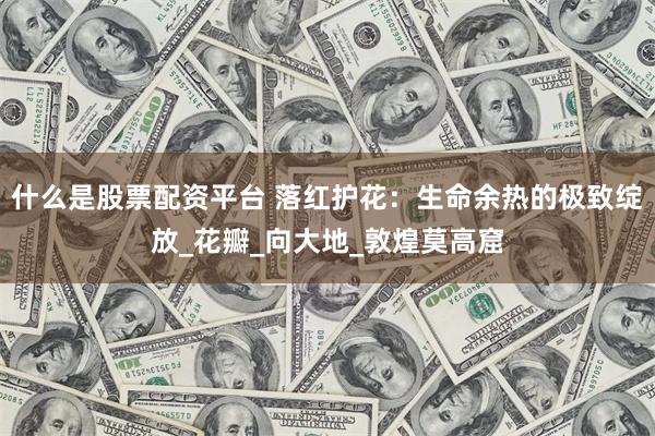 什么是股票配资平台 落红护花：生命余热的极致绽放_花瓣_向大地_敦煌莫高窟