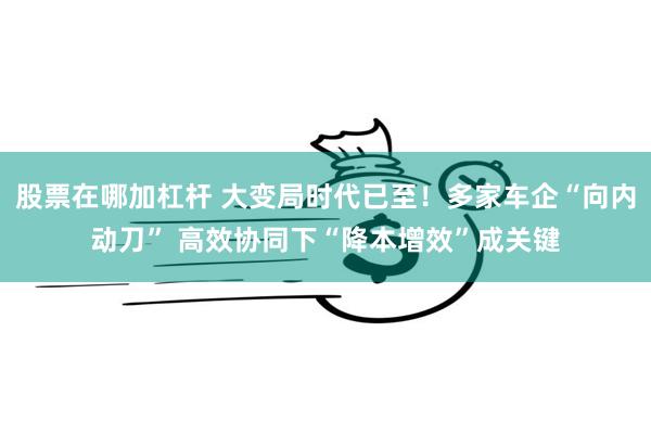 股票在哪加杠杆 大变局时代已至！多家车企“向内动刀” 高效协同下“降本增效”成关键
