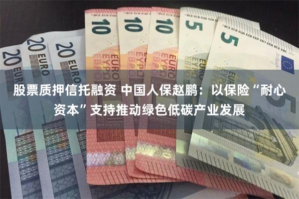 股票质押信托融资 中国人保赵鹏：以保险“耐心资本”支持推动绿色低碳产业发展
