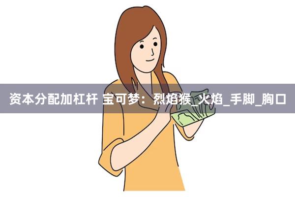 资本分配加杠杆 宝可梦：烈焰猴_火焰_手脚_胸口