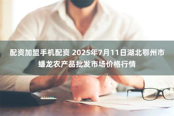 配资加盟手机配资 2025年7月11日湖北鄂州市蟠龙农产品批发市场价格行情