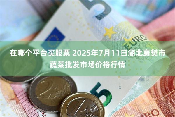 在哪个平台买股票 2025年7月11日湖北襄樊市蔬菜批发市场价格行情