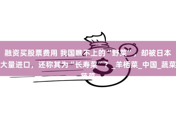 融资买股票费用 我国瞧不上的“野菜”，却被日本大量进口，还称其为“长寿菜”？_羊栖菜_中国_蔬菜