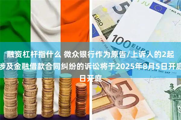 融资杠杆指什么 微众银行作为原告/上诉人的2起涉及金融借款合同纠纷的诉讼将于2025年8月5日开庭