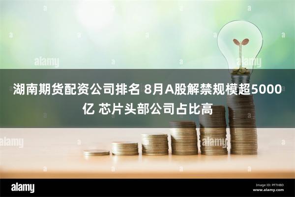 湖南期货配资公司排名 8月A股解禁规模超5000亿 芯片头部公司占比高