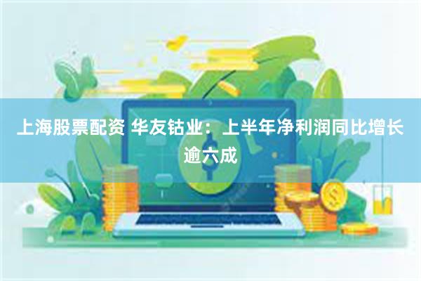 上海股票配资 华友钴业：上半年净利润同比增长逾六成